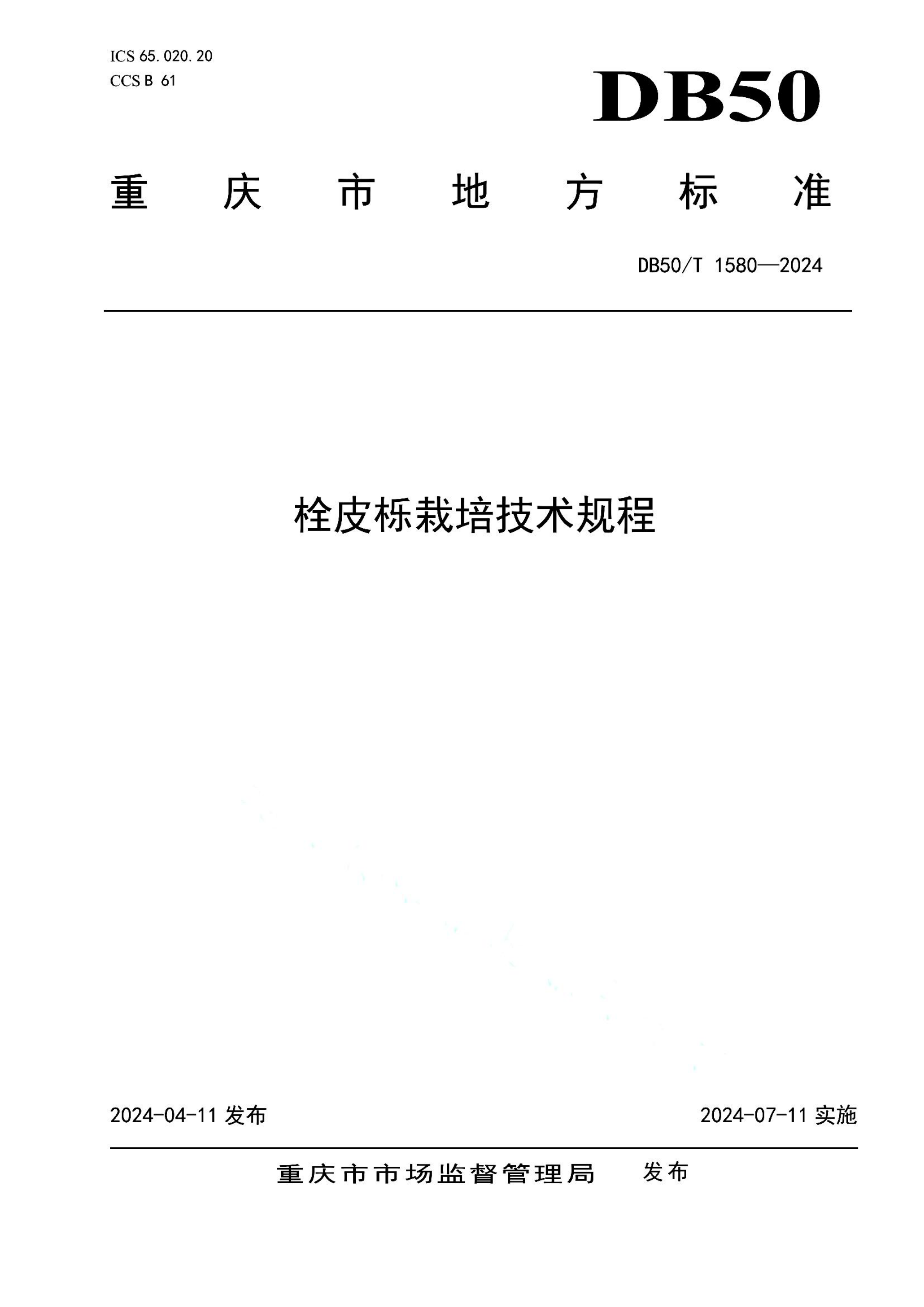 资源详情图